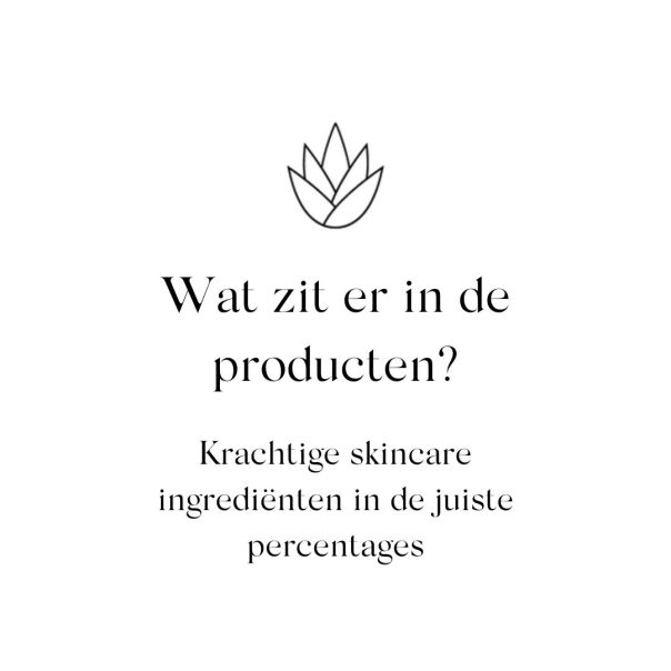 Wat zit er in de producten